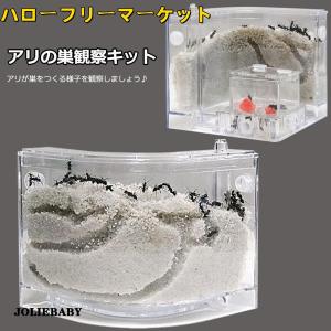[ハローフリーマーケット][]飼育セット 小学生 アリの巣 砂 学習用 あり観察キット 夏休み 自由研究 蟻 実験セット 観察 あり 飼育ケース