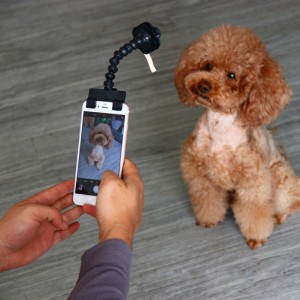 ペット犬自撮りスティック調整可能な角度写真ツールペットトレーニング用品アクセサリー犬猫