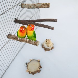 5 ピース/セット木製鳥パーチスタンドオウムスタンドクライミングのおもちゃ鳥かごアクセサリー