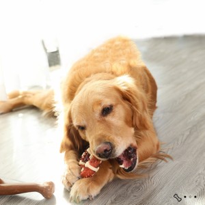 ペットの犬の咀嚼のおもちゃ噛みにくいクリーニング歯骨咀嚼スナック食品トリートペット子犬用品