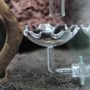 透明ガラスエビ給餌皿多機能アクリルエビボウル水槽水族館製品吸引カップ