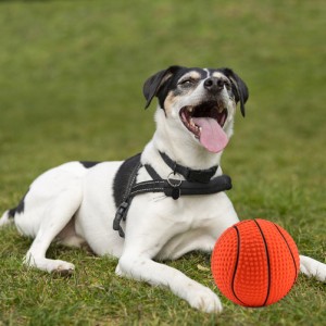 プロフェッショナルラテックスサウンディングバスケットボール犬のおもちゃ綿充填おかしいきしむボール咬傷耐性モル歯クリーニングインタ