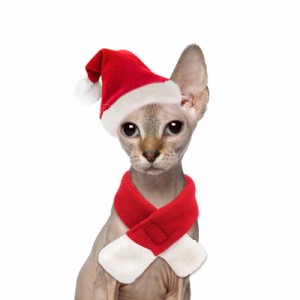クリスマスコスチューム猫サンタ帽子スカーフ付きクリスマス衣装アパレルセットクリスマス帽子小中犬猫用