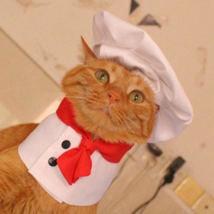 ペットシェフコスチュームシェフ帽子赤いスカーフ 2 サイズスーパーソフト快適なハロウィーンの服小型中大型犬猫