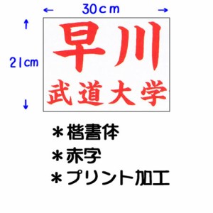 九櫻 KUSAKURA キッズ 公式試合用 柔道ゼッケン プリント加工 小学生用 30×21cm 赤 JT63021KA R ネーム加工料 柔道着 空手着 武道 剣道