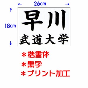 九櫻 KUSAKURA キッズ 公式試合用 柔道ゼッケン プリント加工 幼児用 26×18cm 黒 JT62618KA B ネーム加工料 柔道着 空手着 武道 剣道