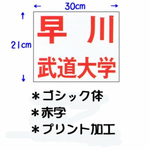 九櫻 KUSAKURA キッズ 公式試合用 柔道ゼッケン プリント加工 小学生用 30×21cm 赤 JT63021GO R ネーム加工料 柔道着 空手着 武道 剣道