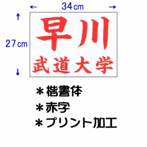 九櫻 KUSAKURA レディース 公式試合用 柔道ゼッケン プリント加工 34×27cm 赤 JT63427KA R ネーム加工料 柔道着 空手着 武道 剣道 道衣