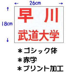 九櫻 KUSAKURA キッズ 公式試合用 柔道ゼッケン プリント加工 幼児用 26×18cm 赤 JT62618GO R ネーム加工料 柔道着 空手着 武道 剣道