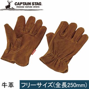 キャプテンスタッグ CAPTAIN STAG コンロ用 レザーグローブ M-5560 耐熱グローブ アウトドア キャンプ 焚き火