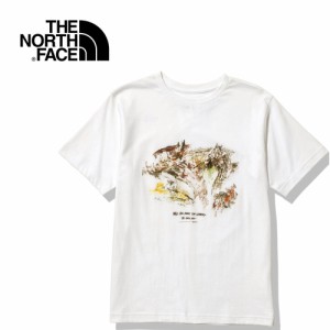 ザ・ノース・フェイス ノースフェイス レディース 半袖Tシャツ ショートスリーブウォールズティー イワゴヤ NTW12211 IY S/S Walls Tee