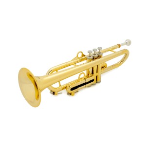 pInstruments ピーインストゥルメンツ pTrumpet hyTech ゴールド プラスチックトランペット 