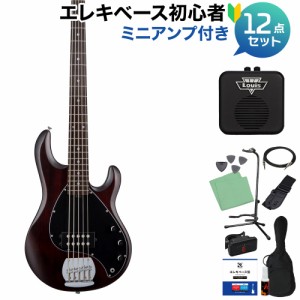 STERLING by Musicman スターリン STINGRAY RAY5 WS 5弦ベース初心者12点セット 【ミニアンプ付】 アクティブ 