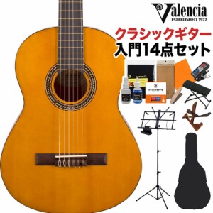 Valencia バレンシア VC204 クラシックギター初心者14点セット クラシックギター 