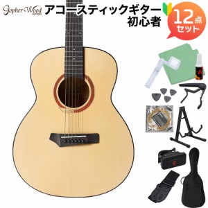 Gopher Wood Guitars ゴフェルウッドギターズ i110S アコースティックギター初心者12点セット スモールボディ GSmini 