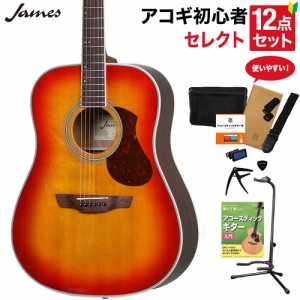 James ジェームス J-300D CAO アコースティックギター 教本付きセレクト12点セット 初心者セット 