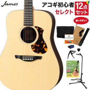 James ジェームス J-1D アコースティックギター 教本付きセレクト12点セット 初心者セット アジャスタブルサドル 簡単弦高調整 ドレッド