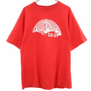 エフエーティー プリント 半袖 Tシャツ FAT レッド系 FAT メンズ 240412