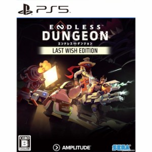 【中古即納】[PS5]ENDLESS trade  Dungeon Last Wish Edition(エンドレス ダンジョン ラストウィッシュ エディション)(20230518)