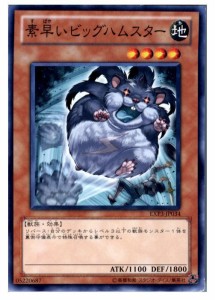 【中古即納】[TCG]遊戯王 EXP3-JP034N 素早いビッグハムスター