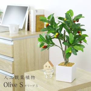 観葉植物 人工観葉植物 陶器鉢 インテリア 手間いらず お祝い 枯れない ギフト 開店祝い オリーブS インテリア家具 おすすめ おしゃれ 北