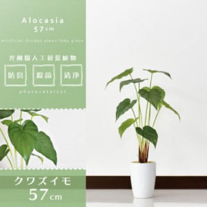 観葉植物 光触媒 フェイクグリーン 造花 57cm 人工観葉植物 陶器鉢 インテリア お祝い ギフト クワズイモ インテリア家具 おすすめ おし