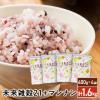 �G�� �G���� �����G��21+�}���i�� �v1.6kg (400g�~4��) ���Y ������ ���H �ۑ��H ��e��