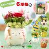 �v���[���g �X�|�[�c �����c �v���U�[�u�h�t�����[ 3�ȏ�ő���������1�z����Ɍ��遄 ���g�����W���|�b�g �� �A�����W ���j�� �t����