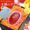 ���̓� �M�t�g ���z�̃^�}�S (4L�~1��/��510g) �{��Y �ԏG�`�G 2026 ���̓��M�t�g ���z�̂��܂� �{�� �{��}���S�[ ���n�}���S�[ ���Y