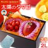 ���̓� �M�t�g ���z�̃^�}�S (2L�~1��/��350g�ȏ�) �� �R�`�������� ������ (M�ʁ~��100g) �Z�b�g �G�i 2026�N �T�N�����{ �}���S�[ ��