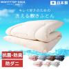 �_500�~OFF�N�[�|��!~5/20 9:59�^�~�z�c �V���O�� �􂦂� �R�C�������h���[ �z�c �~���z�c ����9cm 3�w�\�� ���q�p�z�c �R���p�N�g ���[ 