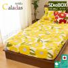BOX�V�[�c �J���_�X �V�r�� sybilla �Z�~�_�u�� 120�~200�~40cm �z�c�J�o�[ ���{�� ��100�� �V�[�c �J�o�[ �x�b�h�}�b�g���X�J�o�[