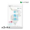 ���_�� �T�v�� �L�E�q�����_�ۃ\�t�g�J�v�Z�� ��3������ ���N�H�i cp