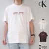 �J���o���N���C�� T�V���c ���� Calvin Klein SS Graphic Classic T-Shirt �����Y ���f�B�[�X calvin klein t�V���c �g�b�v�X 4RE831G