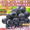 �i�K�m�p�[�v�� �햳������ ��1.5kg 2�`3�[ ���쌧�Y �����K�i ��[���� JA����i ���Y�i�̍����t���[�c�I�炲�ƐH�ׂ�嗱�̍��Ԃǂ� �u