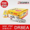 DR8EA 10�{�Z�b�g �o�C�N �_�΃v���O NGK���{���ꓩ��