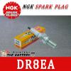 �䂤�p�P�b�g DR8EA �o�C�N �_�΃v���O NGK���{���ꓩ��