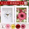 ���O���� ���� �v���U�[�u�h�t�����[ ���v �ސE�j�� �a���� �����j�� �u���v �v���U�[�u�h �t�����[ �v���[���g �M�t�g ���蕨 ������� 