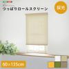 �ǂɌ��J���Ȃ� �˂����莮 ���[���X�N���[�� 60�~135 �̌��^�C�v �y���������z ���ς�@���[���J�[�e��  ���t�� �ȒP ������� �J�[