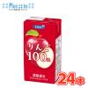 �G���r�[�@���100���W���[�X�y125ml�~24�{���z�@���p�b�N�k�ʏ`100�� �A�b�v�� apple ��� �l