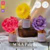 �A���} SOLA Palette �\���p���b�g �\���t�����[�f�B�t���[�U�[ �S3�� �\���t�����[ ���� �F�ω� ���[���t���O�����X �F���� �M�t�g ���