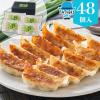 ���̓� �M�t�g �O���� �y�� �������� ����˂��L�q�y48���z�yF�z30�� 40�� 50�� 60�� �����̂� �v���[���g ���蕨 2026 �L�q ���� �l�M