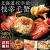 �k�C���}�K�Y �v���~�A���ъI 600g�`660g�y�k�C���z�y���i���z�J�j �уK�j �Ⓚ �{�C�� �I �уK�j ������ �J�j�݂� �J�j���X �O���� �v��