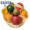 ���̓� 2026 �m �V�h���� �n ���̓� �o���G�e�B�[B �b�w����́�����E�����ւ͓͕s��(FD)