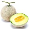 ������ ��������  ��錧�Y �Y�A�[���X������ 2�ʃZ�b�g ��2.4kg |6����{�ȍ~�̂��͂�������E�����ւ͓͕s��(��)