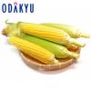 �{ ��� �������� ���N���V�[�Y���X�^�[�g �Ƃ����낱�� ��1.2kg |7-12�����x�ł̂��͂�������E�����ւ͓͕s��(��)