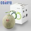 �{ ��� �������� �k�C���Y �[�������� �G�i 6-1 1.2kg |6�����{�ȍ~�̂��͂�������E�����ւ͓͕s��(��)