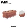 GALLIUM �K���E�� �t�B�j�b�V���R���N �t�B�j�b�V���R���N TU0065 �����e�i���X �`���[���p�i ���b�N�X �X�L�[ �X�m�{ �X�m�[�{�[�h