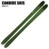�L�����f�b�h �X�L�[�� 2026 CANDIDE SKIS AREA 91 �G���A �P�i 25-26