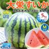 �󂠂� ���� ��h ������ ��h���Z M�T�C�Y 5kg�ȏ�y�N�[���֎w��z�ƒ�p(�����p�Ɠ������x) �i�{�[��������y���挧�Y���Z�z ������ 